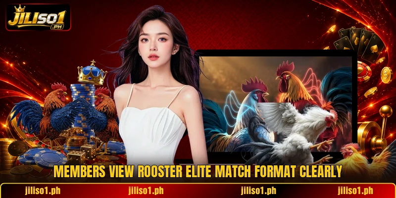 Members view rooster elite match format clearly Members view rooster elite match format clearly