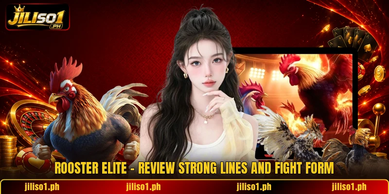 Rooster Elite - Review Strong Lines And Fight Form