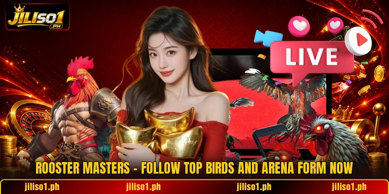 Rooster Masters - Follow Top Birds And Arena Form Now